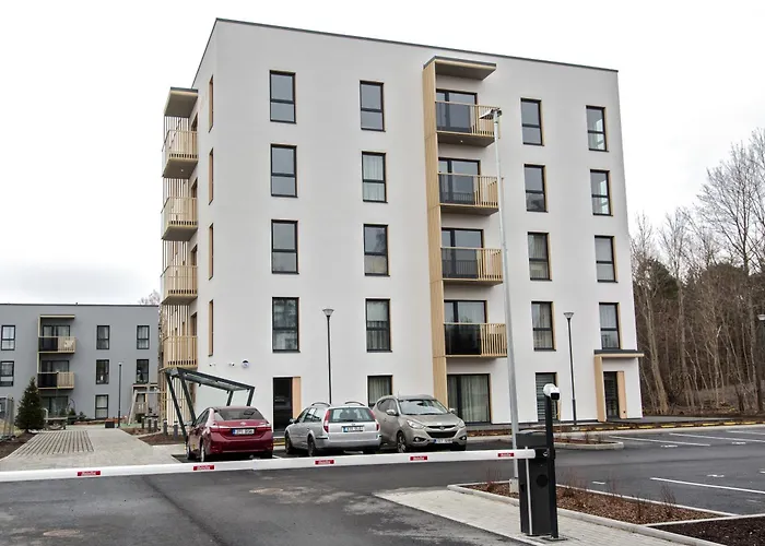 Apartment Modern Niidu *